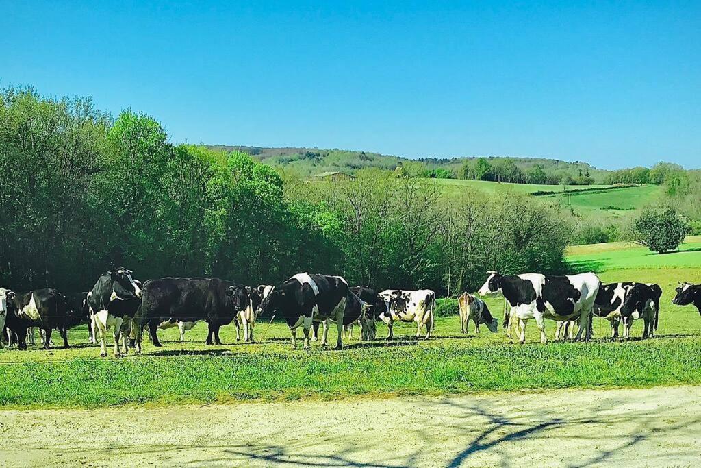 « Le Vieux Hangar » Gite A La Ferme Le Buisson-de-Cadouin Eksteriør bilde